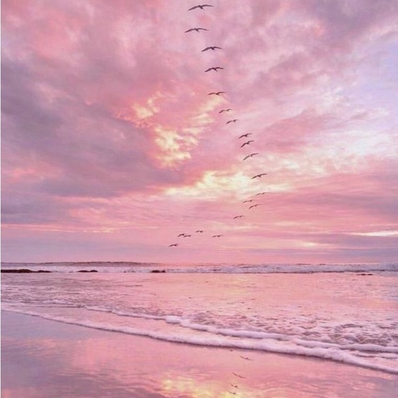 new listings soon🌱 - Picture 10 of 11